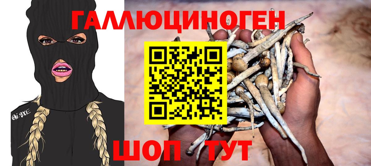 Коломна  Галлюциногенные грибы GOLDEN TEACHER  магазин продажи   Галлюциногенные грибы мицелий  Вход с VPN 